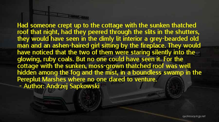 Andrzej Sapkowski Quotes: Had Someone Crept Up To The Cottage With The Sunken Thatched Roof That Night, Had They Peered Through The Slits