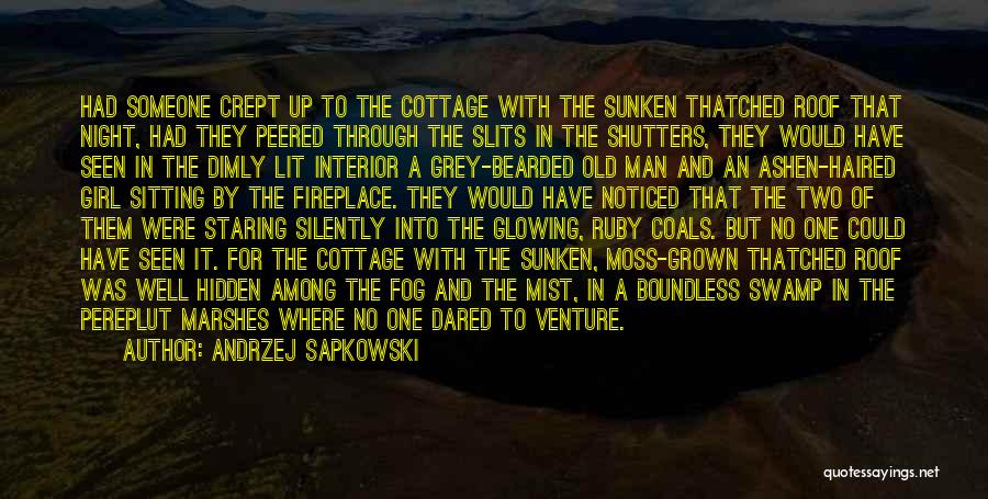 Andrzej Sapkowski Quotes: Had Someone Crept Up To The Cottage With The Sunken Thatched Roof That Night, Had They Peered Through The Slits