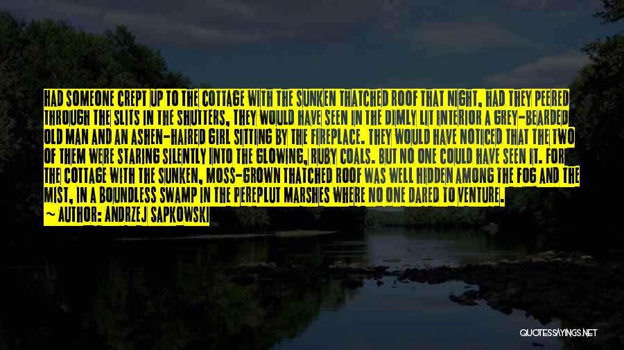 Andrzej Sapkowski Quotes: Had Someone Crept Up To The Cottage With The Sunken Thatched Roof That Night, Had They Peered Through The Slits