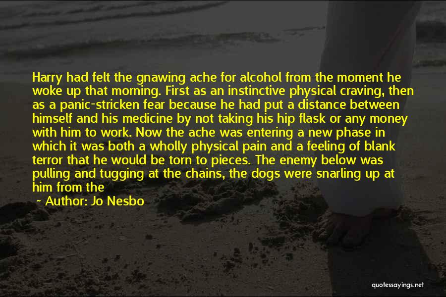 Jo Nesbo Quotes: Harry Had Felt The Gnawing Ache For Alcohol From The Moment He Woke Up That Morning. First As An Instinctive