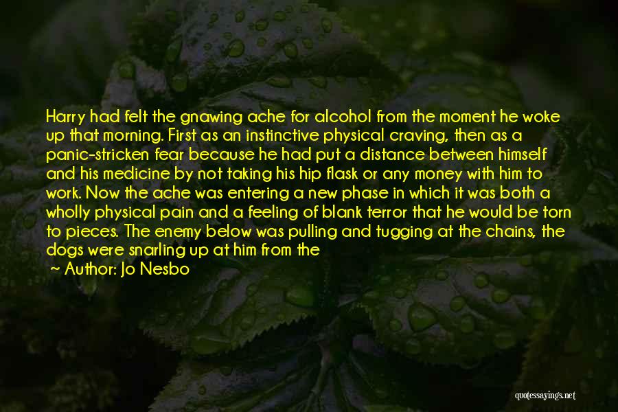 Jo Nesbo Quotes: Harry Had Felt The Gnawing Ache For Alcohol From The Moment He Woke Up That Morning. First As An Instinctive