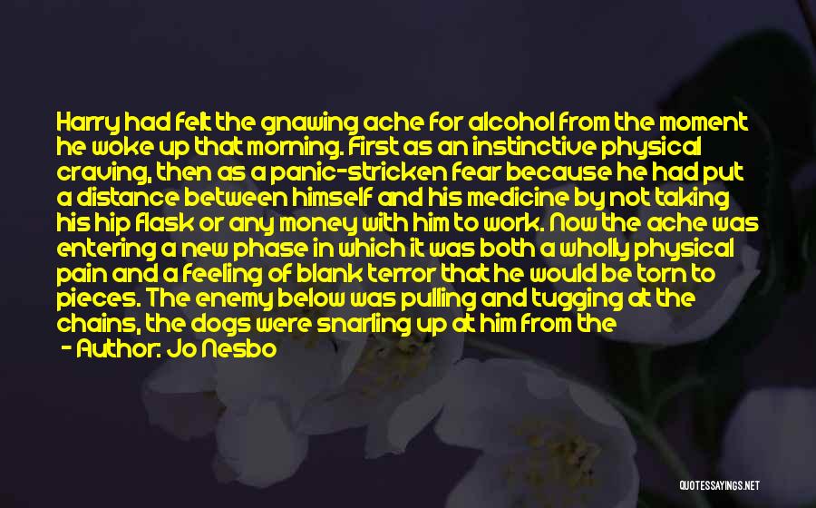 Jo Nesbo Quotes: Harry Had Felt The Gnawing Ache For Alcohol From The Moment He Woke Up That Morning. First As An Instinctive