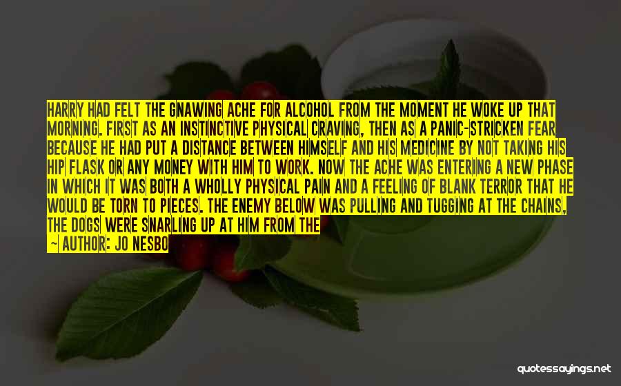 Jo Nesbo Quotes: Harry Had Felt The Gnawing Ache For Alcohol From The Moment He Woke Up That Morning. First As An Instinctive