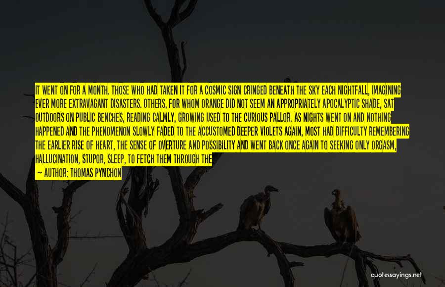 Thomas Pynchon Quotes: It Went On For A Month. Those Who Had Taken It For A Cosmic Sign Cringed Beneath The Sky Each