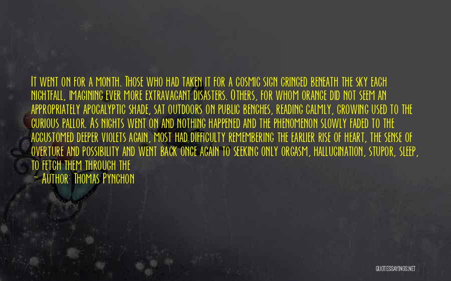 Thomas Pynchon Quotes: It Went On For A Month. Those Who Had Taken It For A Cosmic Sign Cringed Beneath The Sky Each