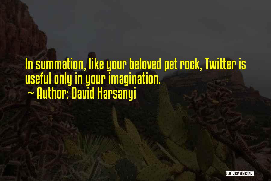 David Harsanyi Quotes: In Summation, Like Your Beloved Pet Rock, Twitter Is Useful Only In Your Imagination.