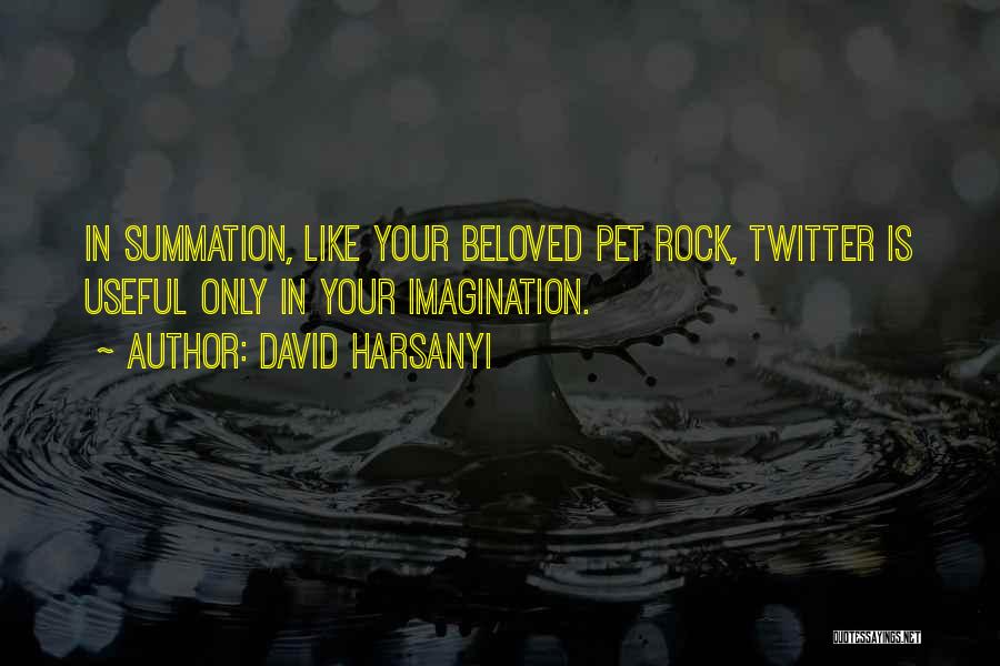 David Harsanyi Quotes: In Summation, Like Your Beloved Pet Rock, Twitter Is Useful Only In Your Imagination.