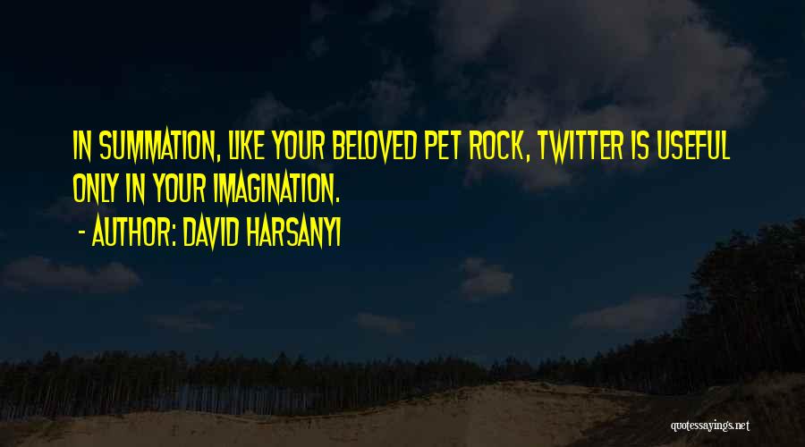 David Harsanyi Quotes: In Summation, Like Your Beloved Pet Rock, Twitter Is Useful Only In Your Imagination.