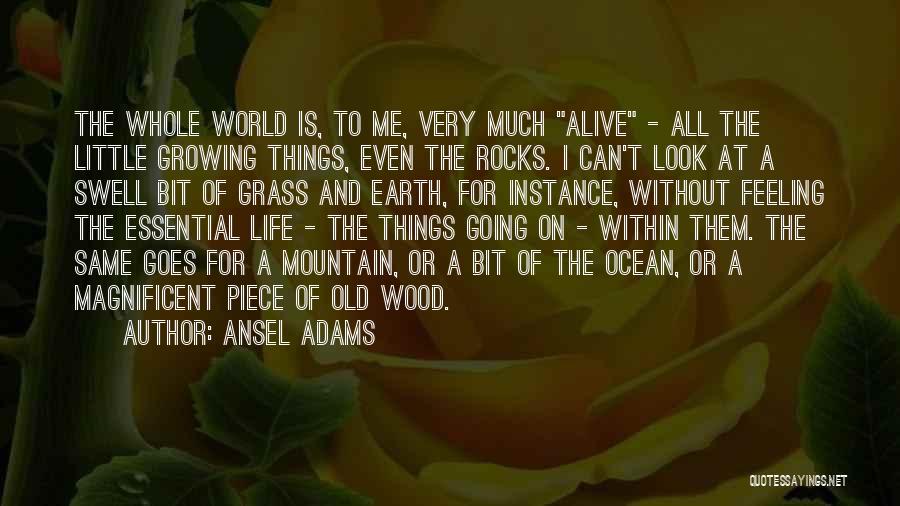 Ansel Adams Quotes: The Whole World Is, To Me, Very Much Alive - All The Little Growing Things, Even The Rocks. I Can't