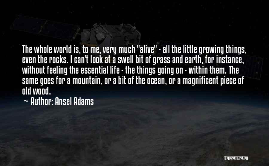 Ansel Adams Quotes: The Whole World Is, To Me, Very Much Alive - All The Little Growing Things, Even The Rocks. I Can't