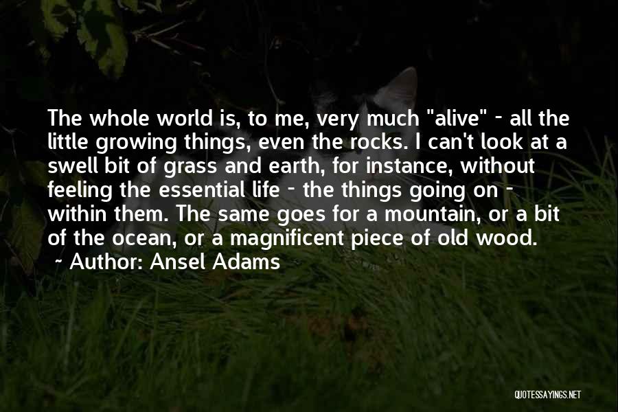 Ansel Adams Quotes: The Whole World Is, To Me, Very Much Alive - All The Little Growing Things, Even The Rocks. I Can't