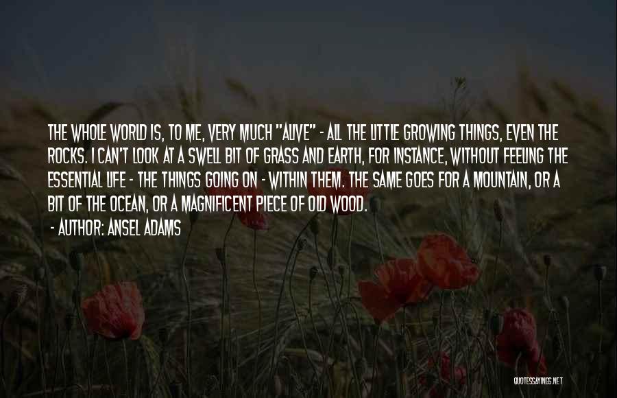 Ansel Adams Quotes: The Whole World Is, To Me, Very Much Alive - All The Little Growing Things, Even The Rocks. I Can't