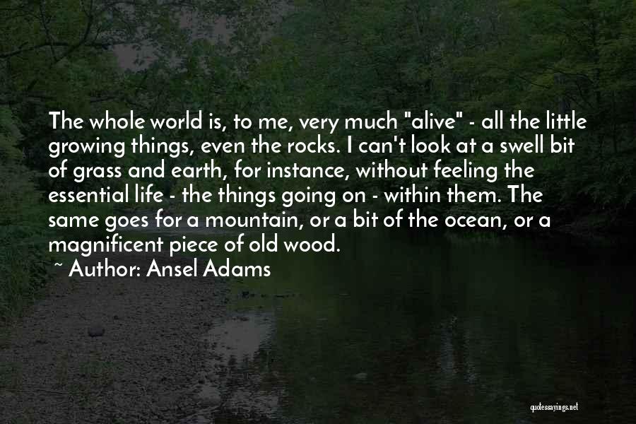 Ansel Adams Quotes: The Whole World Is, To Me, Very Much Alive - All The Little Growing Things, Even The Rocks. I Can't