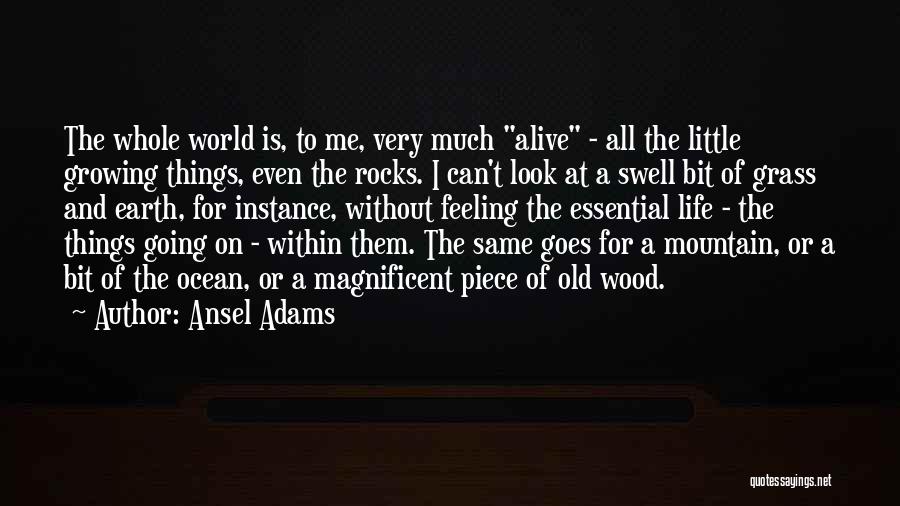 Ansel Adams Quotes: The Whole World Is, To Me, Very Much Alive - All The Little Growing Things, Even The Rocks. I Can't