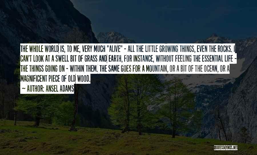 Ansel Adams Quotes: The Whole World Is, To Me, Very Much Alive - All The Little Growing Things, Even The Rocks. I Can't