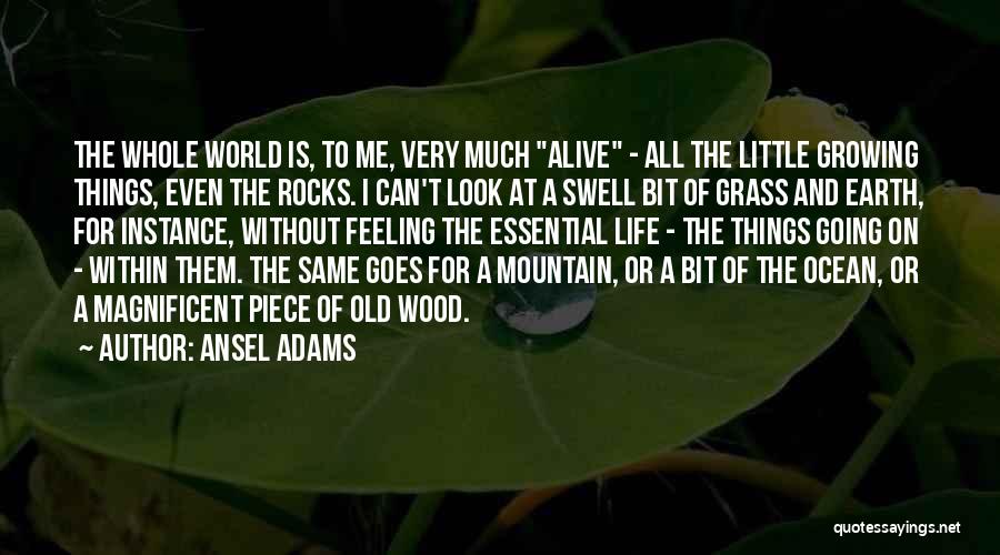 Ansel Adams Quotes: The Whole World Is, To Me, Very Much Alive - All The Little Growing Things, Even The Rocks. I Can't