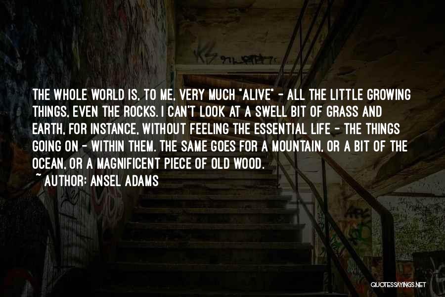 Ansel Adams Quotes: The Whole World Is, To Me, Very Much Alive - All The Little Growing Things, Even The Rocks. I Can't