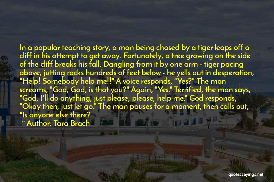 Tara Brach Quotes: In A Popular Teaching Story, A Man Being Chased By A Tiger Leaps Off A Cliff In His Attempt To