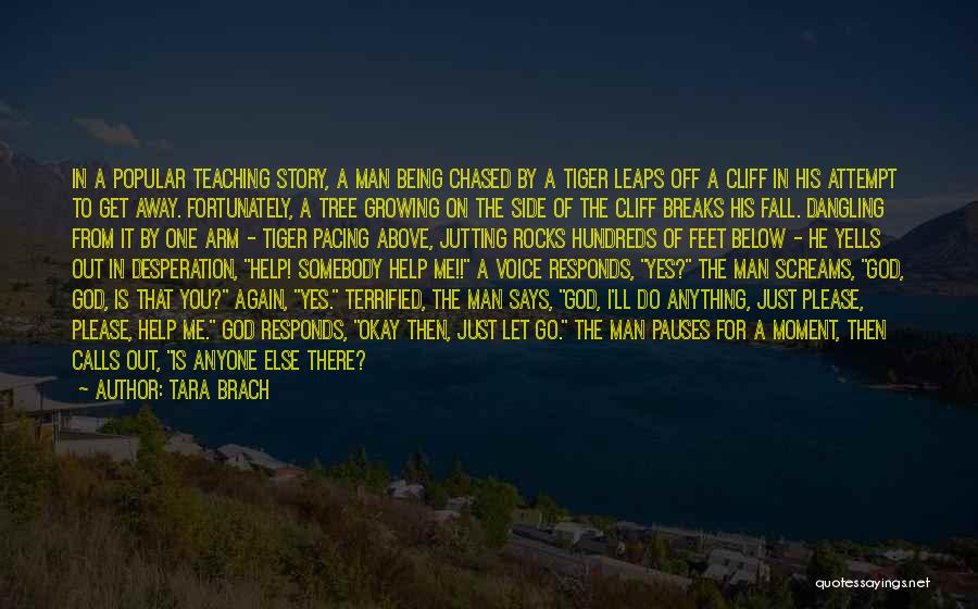 Tara Brach Quotes: In A Popular Teaching Story, A Man Being Chased By A Tiger Leaps Off A Cliff In His Attempt To