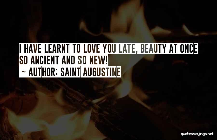 Saint Augustine Quotes: I Have Learnt To Love You Late, Beauty At Once So Ancient And So New!