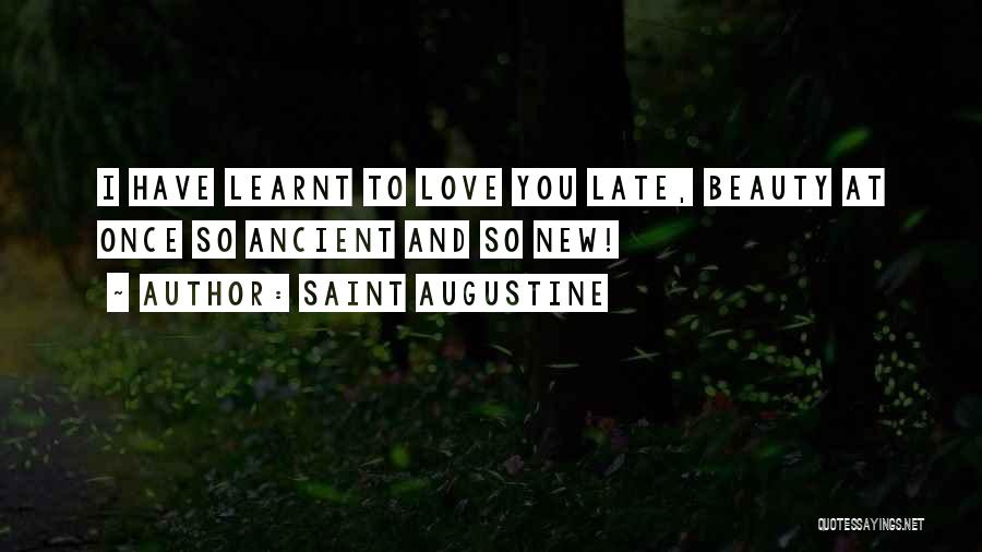 Saint Augustine Quotes: I Have Learnt To Love You Late, Beauty At Once So Ancient And So New!