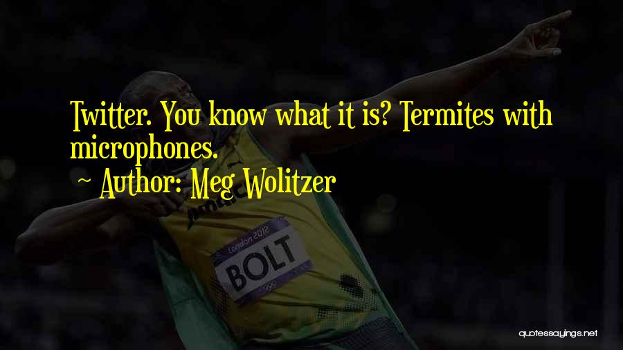 Meg Wolitzer Quotes: Twitter. You Know What It Is? Termites With Microphones.