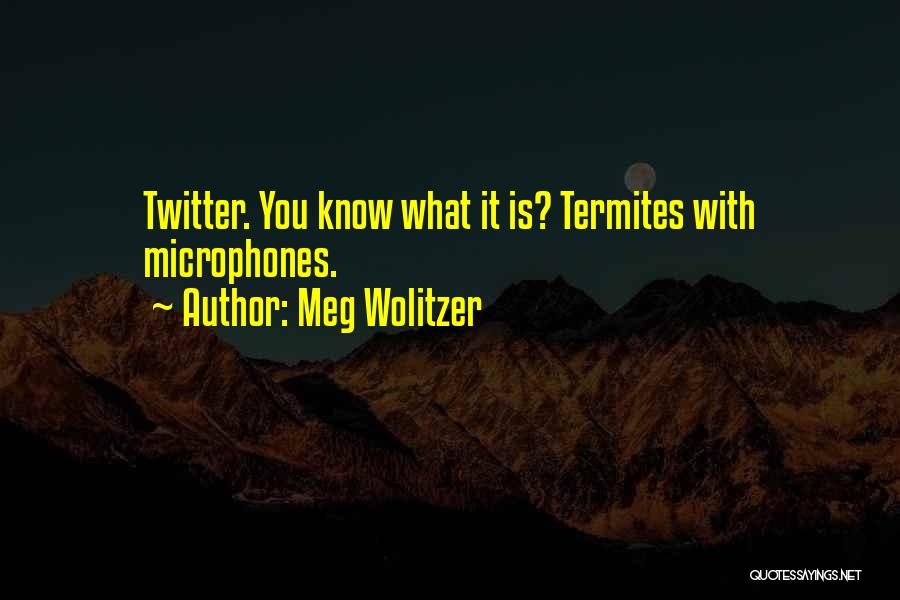 Meg Wolitzer Quotes: Twitter. You Know What It Is? Termites With Microphones.