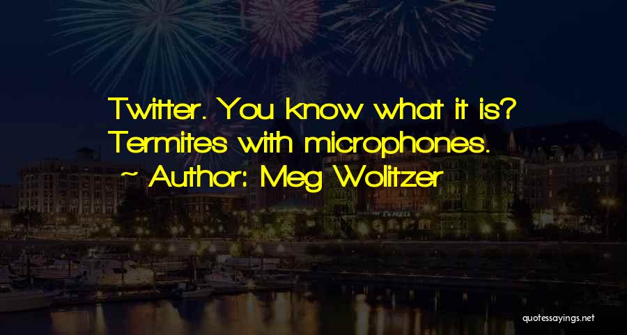 Meg Wolitzer Quotes: Twitter. You Know What It Is? Termites With Microphones.