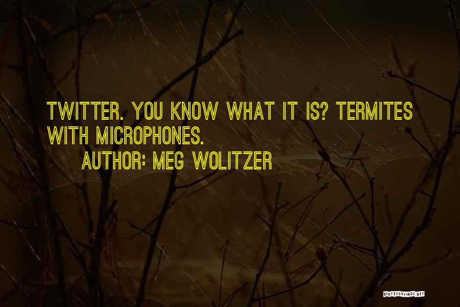 Meg Wolitzer Quotes: Twitter. You Know What It Is? Termites With Microphones.