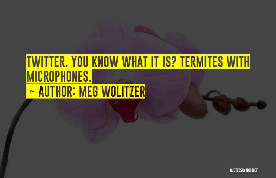 Meg Wolitzer Quotes: Twitter. You Know What It Is? Termites With Microphones.