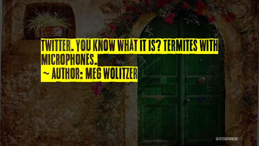 Meg Wolitzer Quotes: Twitter. You Know What It Is? Termites With Microphones.