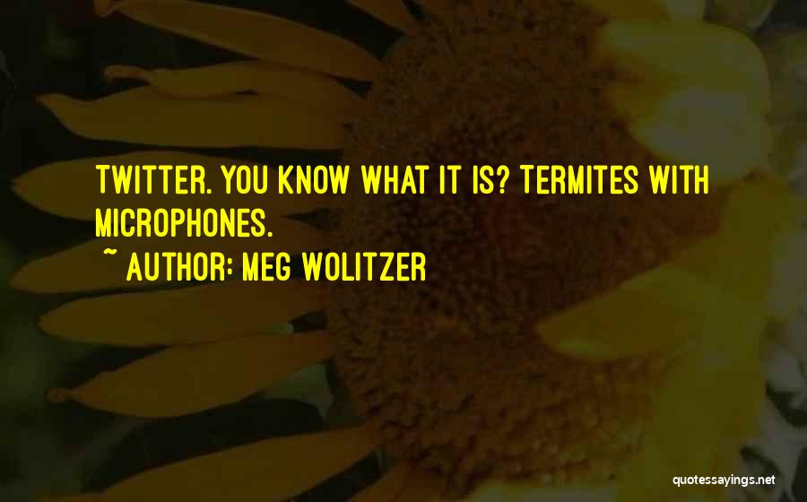 Meg Wolitzer Quotes: Twitter. You Know What It Is? Termites With Microphones.