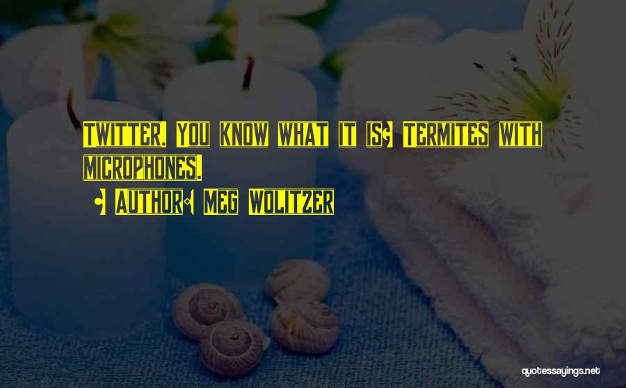 Meg Wolitzer Quotes: Twitter. You Know What It Is? Termites With Microphones.