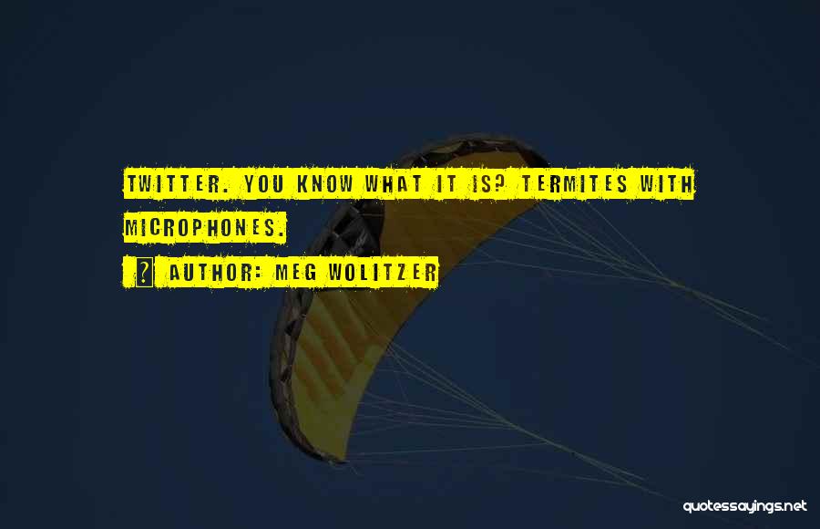 Meg Wolitzer Quotes: Twitter. You Know What It Is? Termites With Microphones.