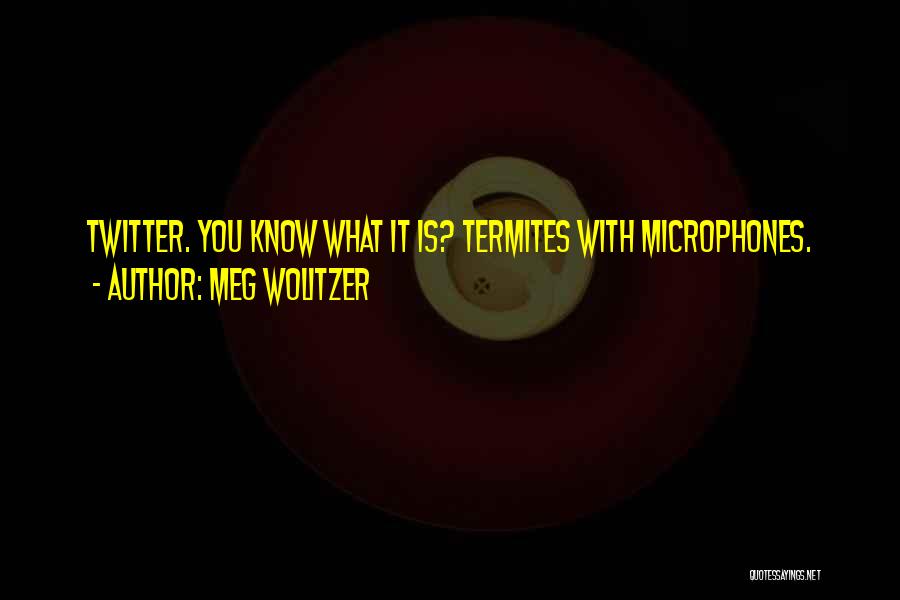 Meg Wolitzer Quotes: Twitter. You Know What It Is? Termites With Microphones.