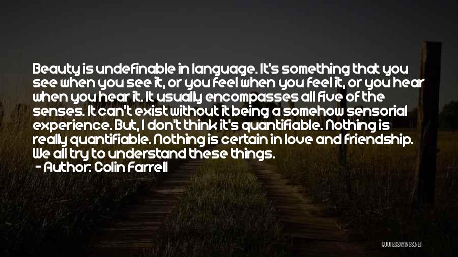 Colin Farrell Quotes: Beauty Is Undefinable In Language. It's Something That You See When You See It, Or You Feel When You Feel