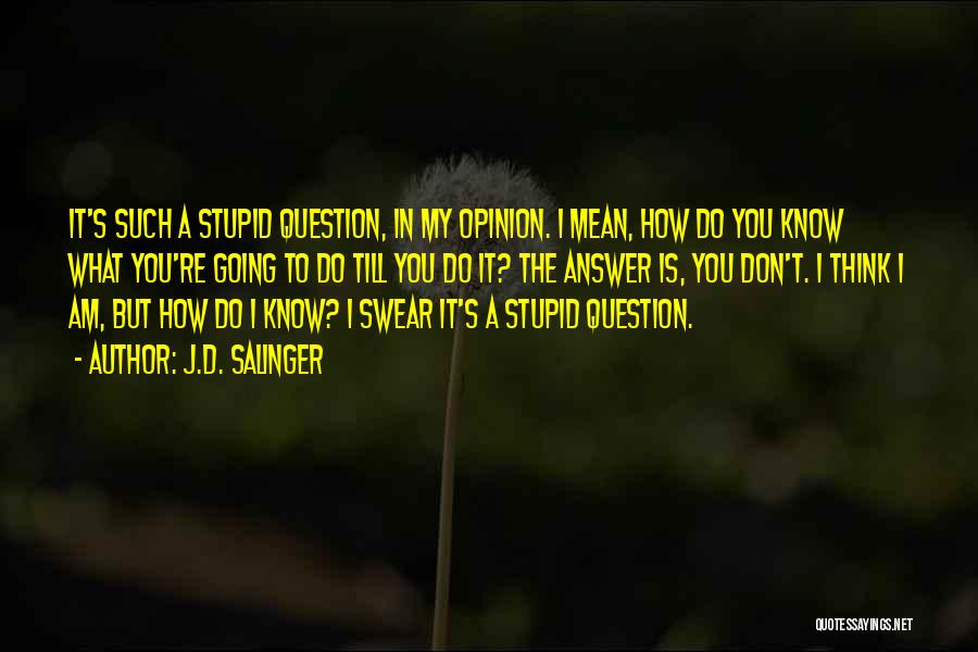 J.D. Salinger Quotes: It's Such A Stupid Question, In My Opinion. I Mean, How Do You Know What You're Going To Do Till