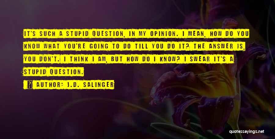 J.D. Salinger Quotes: It's Such A Stupid Question, In My Opinion. I Mean, How Do You Know What You're Going To Do Till