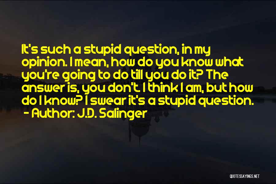 J.D. Salinger Quotes: It's Such A Stupid Question, In My Opinion. I Mean, How Do You Know What You're Going To Do Till