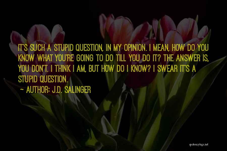 J.D. Salinger Quotes: It's Such A Stupid Question, In My Opinion. I Mean, How Do You Know What You're Going To Do Till
