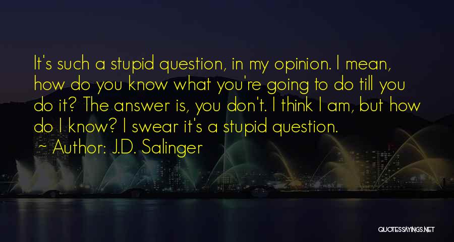 J.D. Salinger Quotes: It's Such A Stupid Question, In My Opinion. I Mean, How Do You Know What You're Going To Do Till