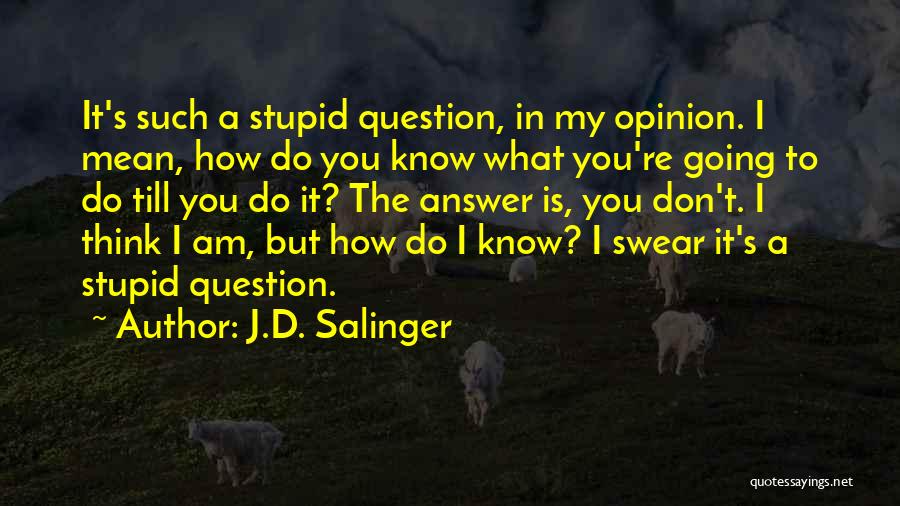 J.D. Salinger Quotes: It's Such A Stupid Question, In My Opinion. I Mean, How Do You Know What You're Going To Do Till