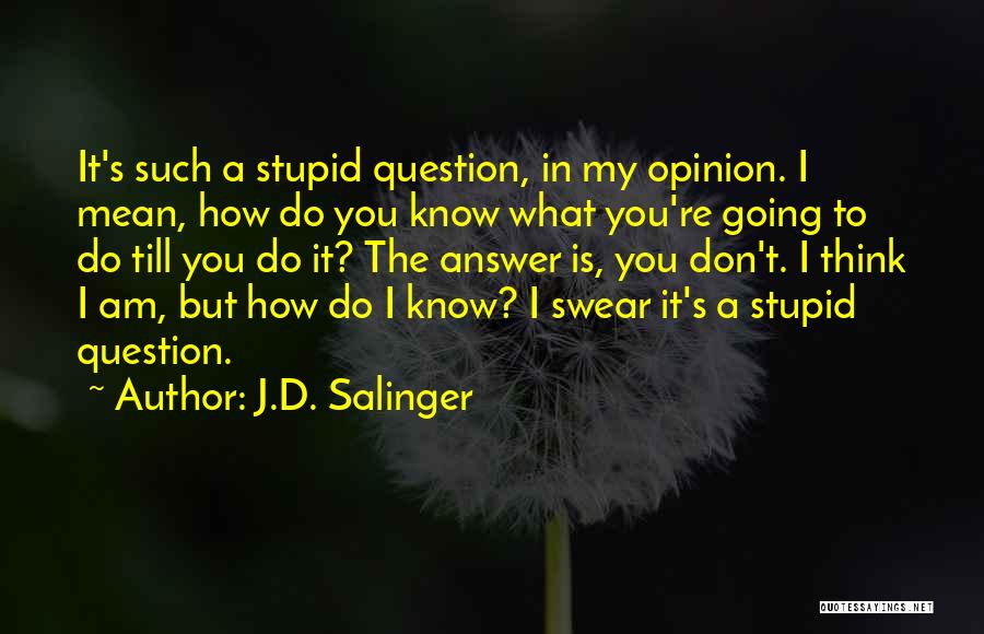 J.D. Salinger Quotes: It's Such A Stupid Question, In My Opinion. I Mean, How Do You Know What You're Going To Do Till