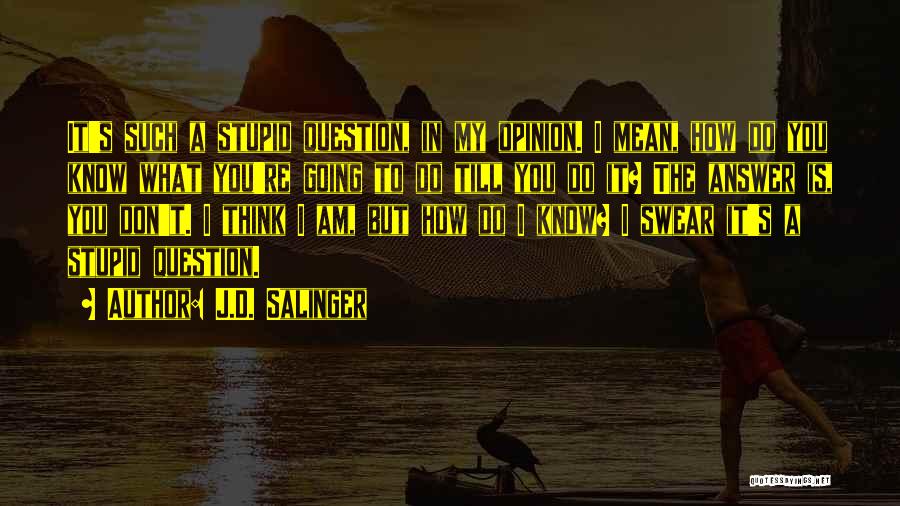 J.D. Salinger Quotes: It's Such A Stupid Question, In My Opinion. I Mean, How Do You Know What You're Going To Do Till