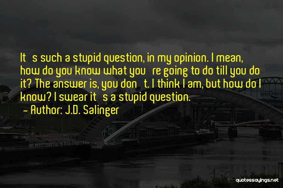 J.D. Salinger Quotes: It's Such A Stupid Question, In My Opinion. I Mean, How Do You Know What You're Going To Do Till