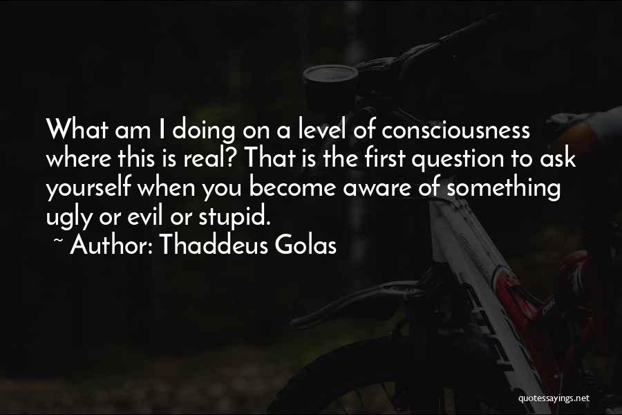 Thaddeus Golas Quotes: What Am I Doing On A Level Of Consciousness Where This Is Real? That Is The First Question To Ask