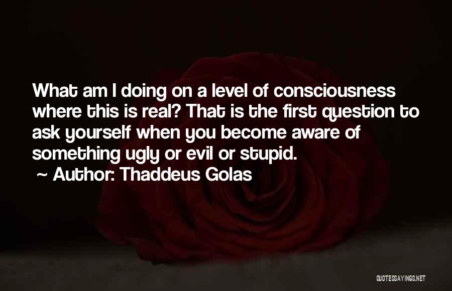 Thaddeus Golas Quotes: What Am I Doing On A Level Of Consciousness Where This Is Real? That Is The First Question To Ask