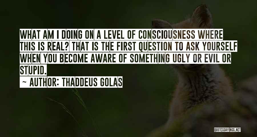 Thaddeus Golas Quotes: What Am I Doing On A Level Of Consciousness Where This Is Real? That Is The First Question To Ask