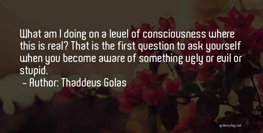 Thaddeus Golas Quotes: What Am I Doing On A Level Of Consciousness Where This Is Real? That Is The First Question To Ask