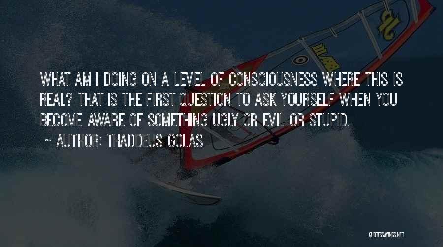 Thaddeus Golas Quotes: What Am I Doing On A Level Of Consciousness Where This Is Real? That Is The First Question To Ask